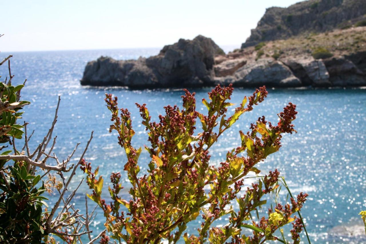 Agios Pavlos Hotel Exterior photo